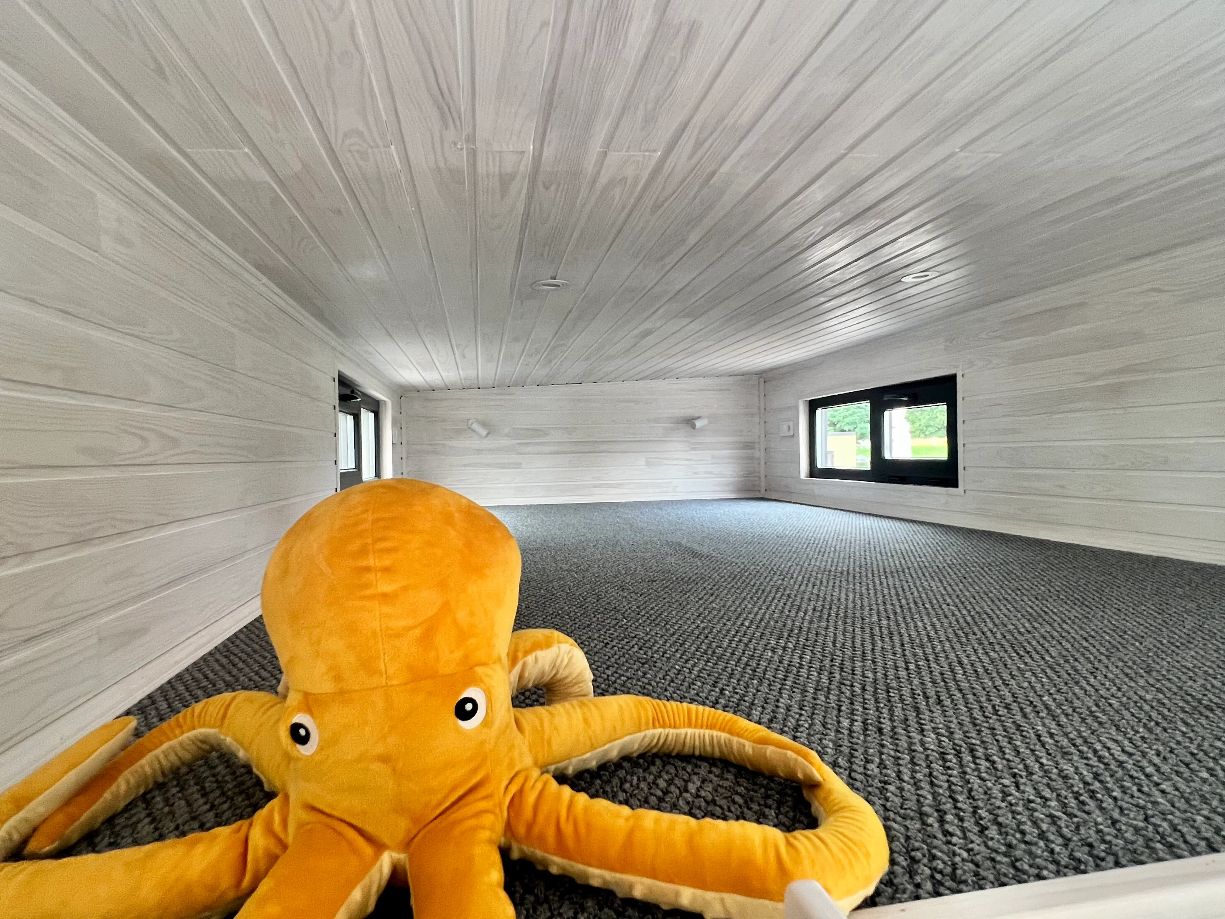 Tiny House, Container Haus, Modulhaus, Minihaus, 25 m2, SIP-TECHNOLOGIE - SIP Modell Tiny House, Container Haus, Modulhaus, Minihaus, 25 m2, SIP-TECHNOLOGIE - SIP Modell