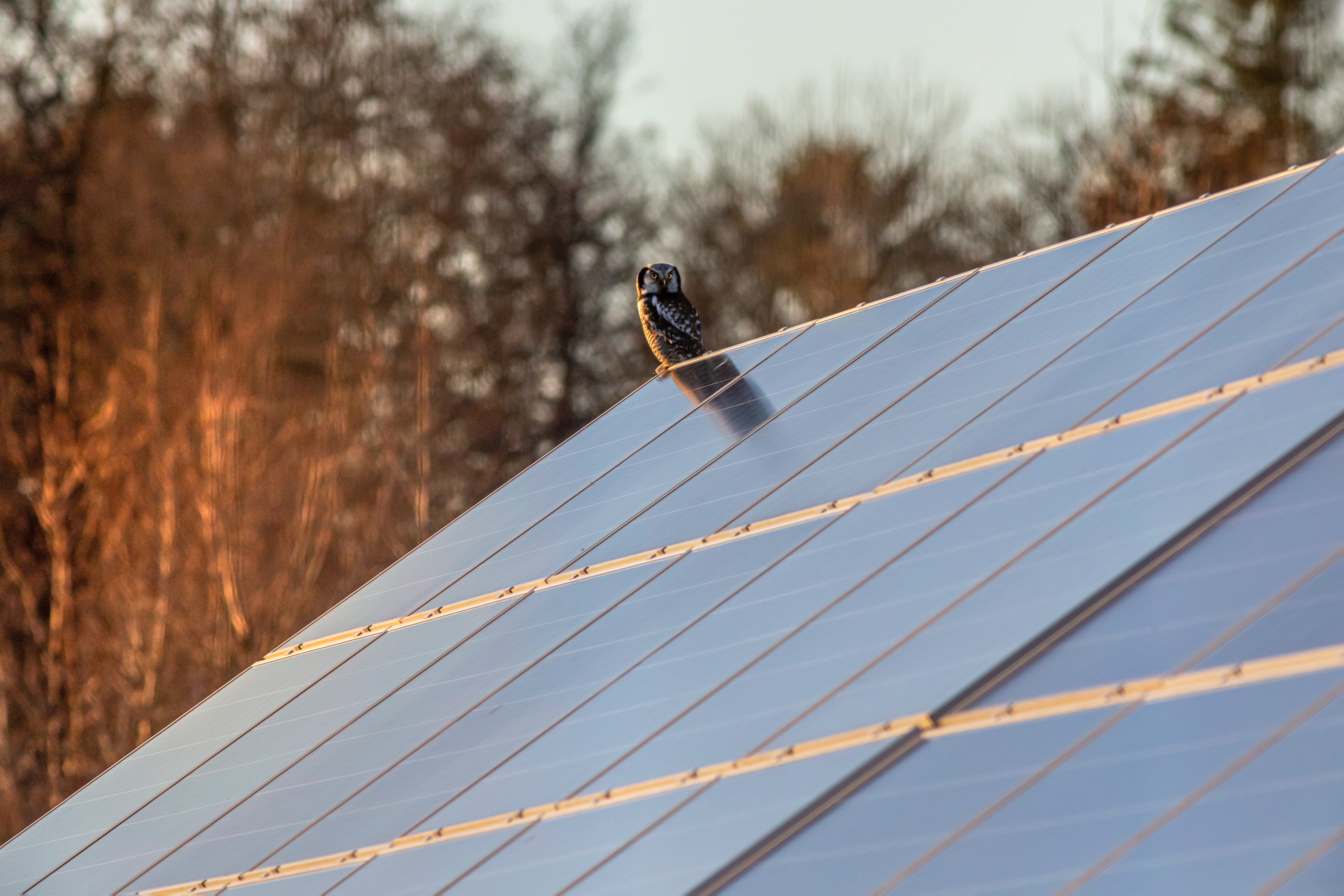 Solar-energy